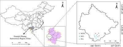 Mixed planting of subtropical Chinese fir in South China improves microbial carbon source metabolism and functional diversity through the accumulation of nutrients from soil aggregates